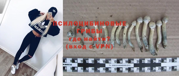 МДПВ Ачинск
