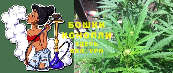 хмурый Липки