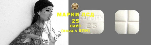 хмурый Липки