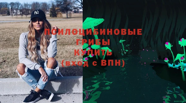бошки Алапаевск