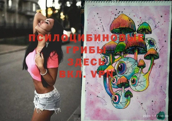 хмурый Липки