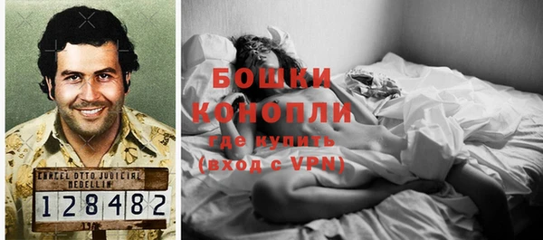 хмурый Липки